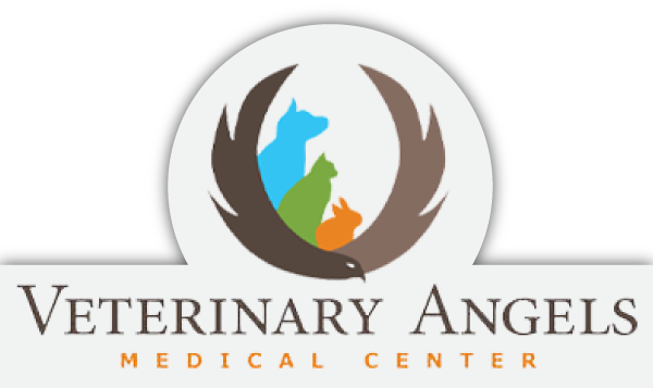 Veterinary Angels Medical Center